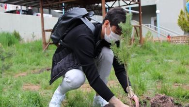 Berke Özer karantinadan çıkmadan fidan dikti